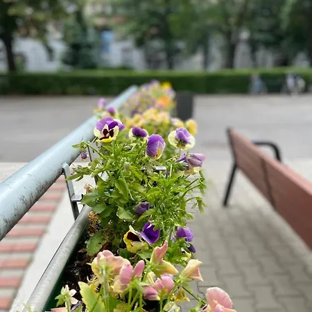 Exclusive Chmielna Street 95m2 Warsaw