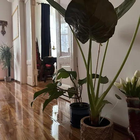 Apartment Exclusive Chmielna Street 95m2