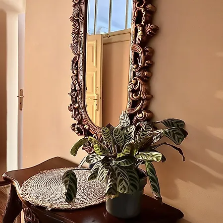 Exclusive Chmielna Street 95m2 *